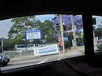 Ann's attemps to get a picture of a jacaranda tree on way to airport.  These were beautiful and all over Sydney.IMG 0035